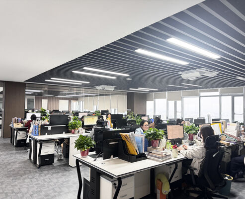 จีน SONSILL HOLDING รายละเอียด บริษัท