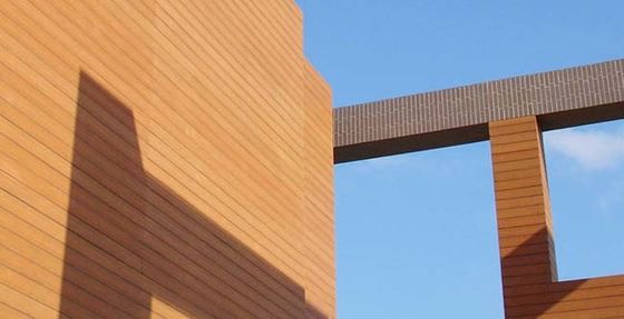 Co Extrusion ภายนอก Wpc Wall Panel Cladding กันน้ำสำหรับตกแต่งสวน